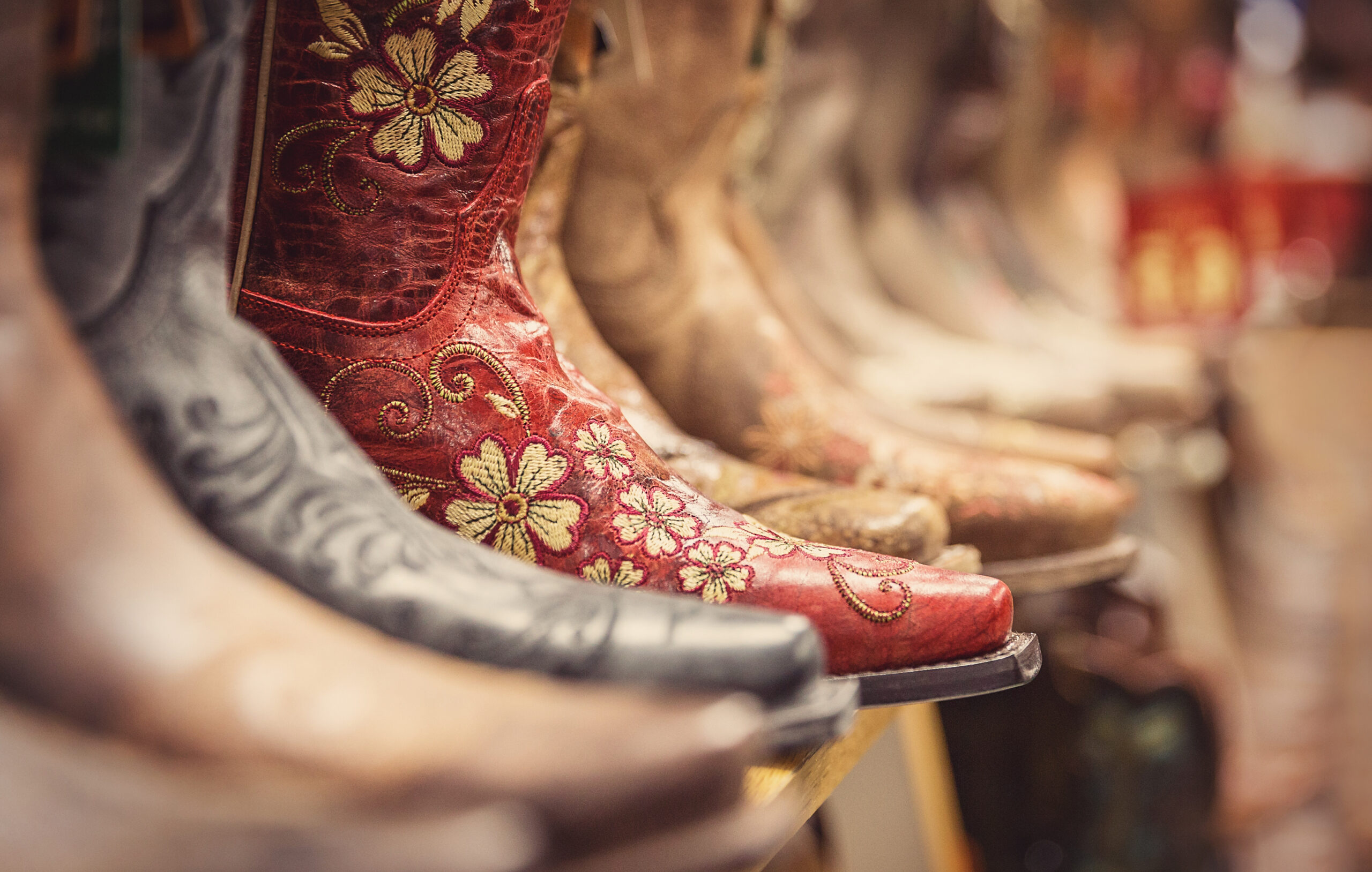 colorful cowboy boots