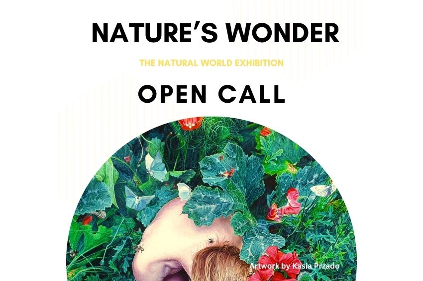 a poster for a nature's wonder open call